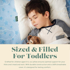 Cloudlet Luxury Toddler Pillow